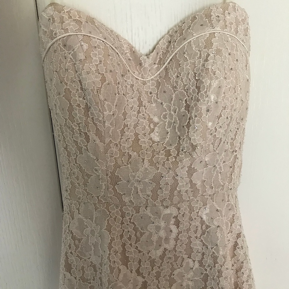 BRAND NEW Strapless Lace Dress